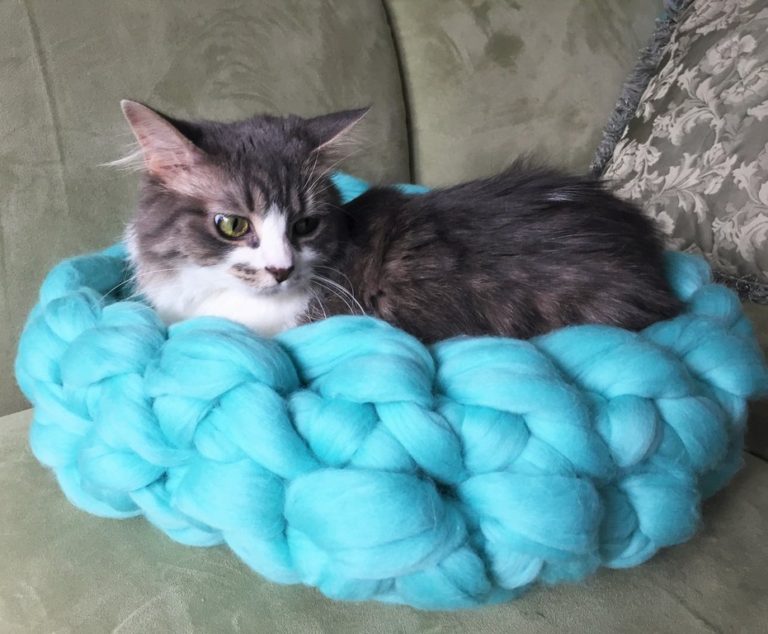 Free Knitting Pattern for Arm Knit Cat Bed
