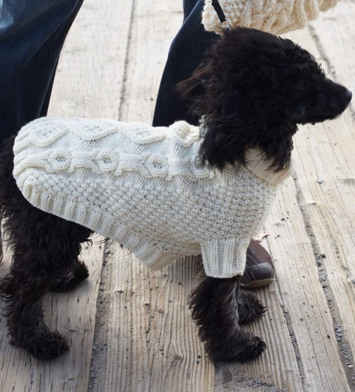 Free Knitting Pattern for Biscuits & Bones Dog Coat