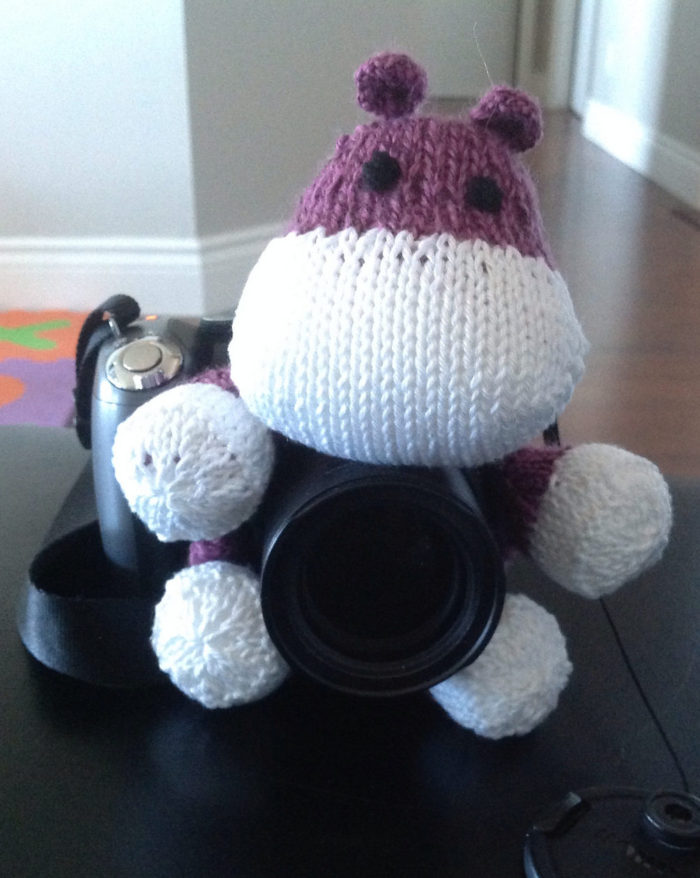 Free Knitting Pattern for Camera Puppet