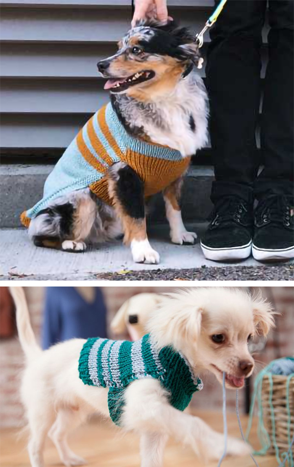 Free Pattern and Class to Knit Custom-Fit Dog Sweater With Free Trial at Creativebug