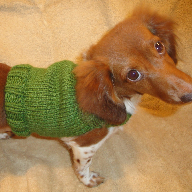 Free Knitting Pattern for Dog Anxiety Sweater
