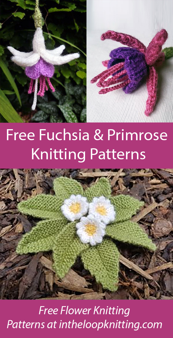 Free Fuchsia and Primrose Knitting Pattern