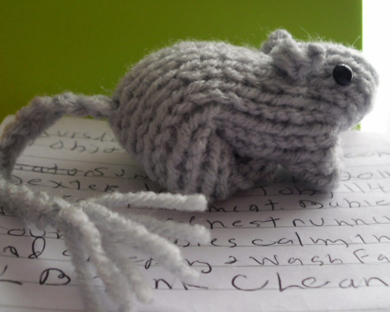 Free Knitting Pattern for Gerbil Toy