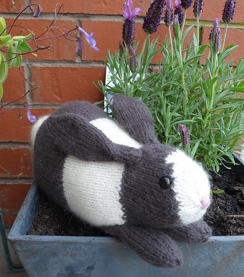 Free knitting pattern for Henry's rabbit plush toy softie