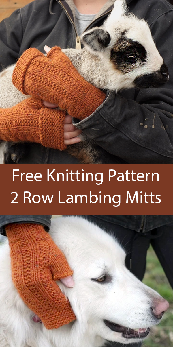Free Knitting Pattern for Lambing Mitts