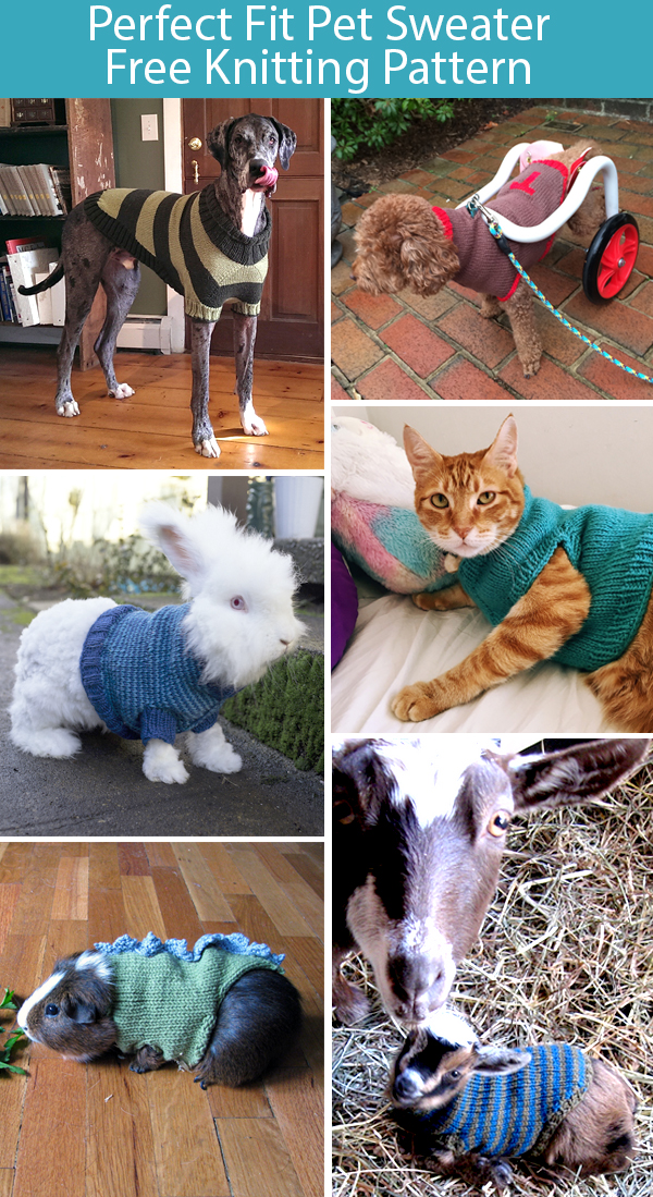 Free Knitting Pattern for Perfect Fit Pet Sweater