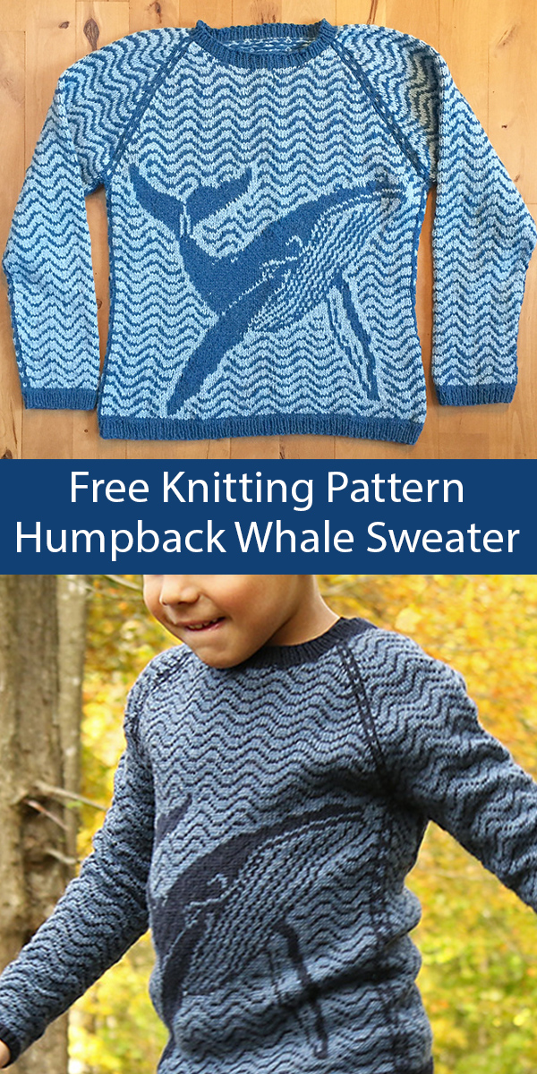 Free Knitting Pattern for Humpback Whale Sweater