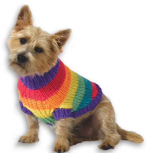 Free Knitting Pattern for Rainbow Dog Sweater