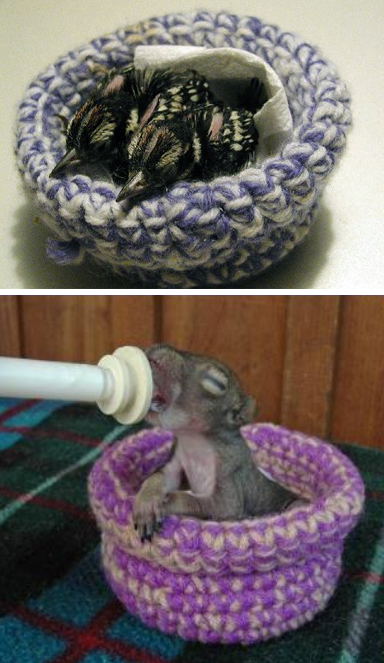 Free Knitting Pattern for Nests for Rescue Birds and Animals