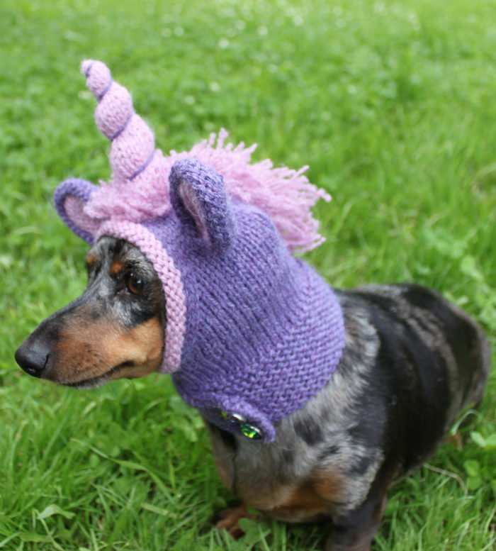 Knitting Pattern for Unicorn Dog Hood