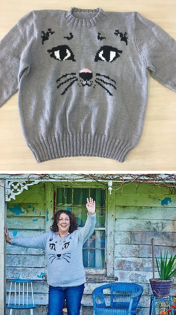 Free Knitting Pattern for Wilderpeople Cat Sweater