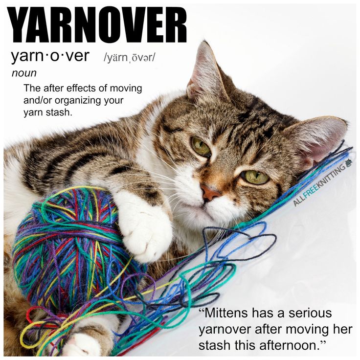 Yarnover - the aftereffects of moving and/or organizing your yarn stash.