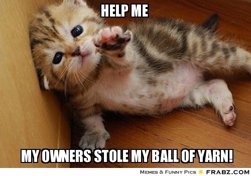 Help me! My owners stole my ball of yarn!