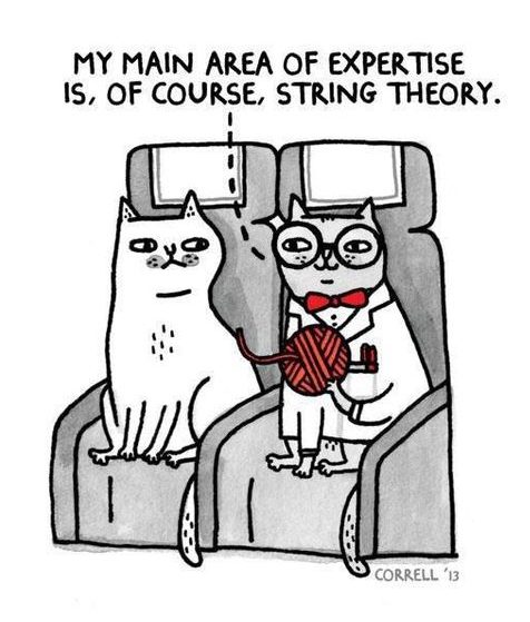 Gemma Correll My main are of expertise is of course string theory