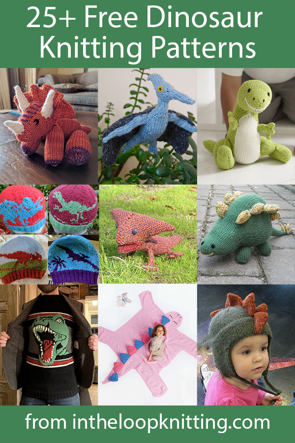Dinosaur Knitting Patterns. Knitting patterns for everyone’s favorite prehistoric animals – dinosaur toys, sweaters, hats, washcloths, scarves and more. Most patterns are free.