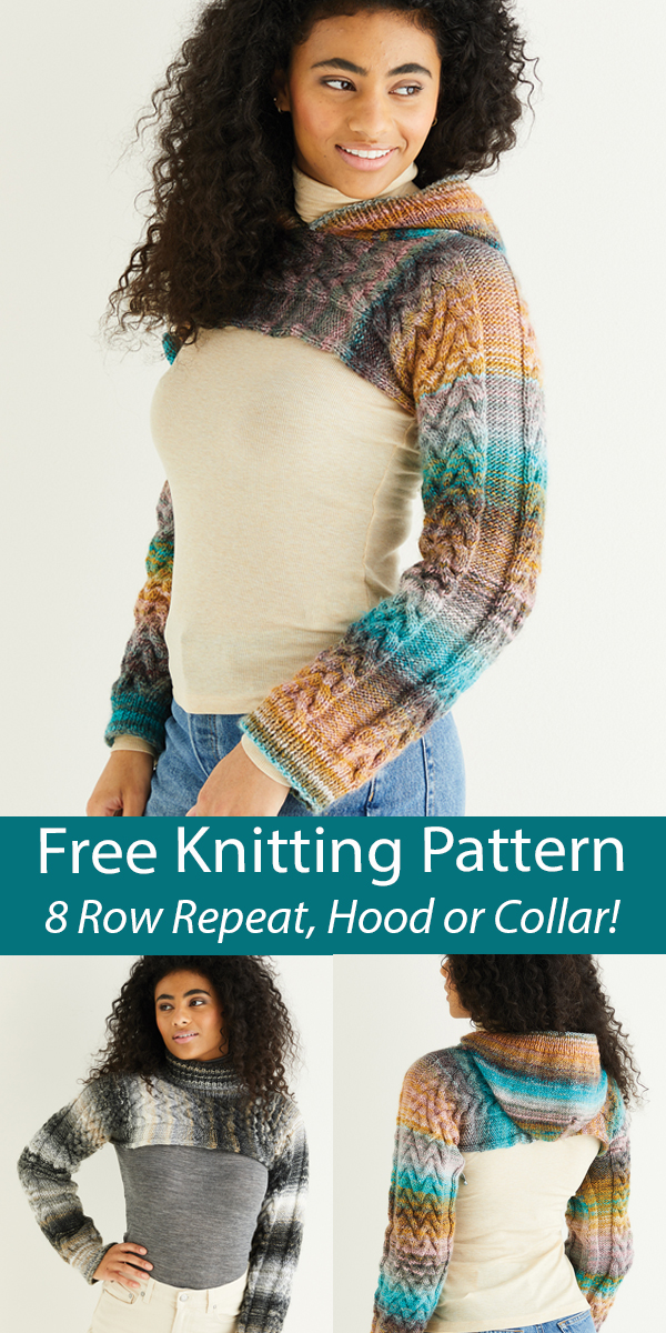 Free Sweater Knitting Pattern 10290 Armwarmers