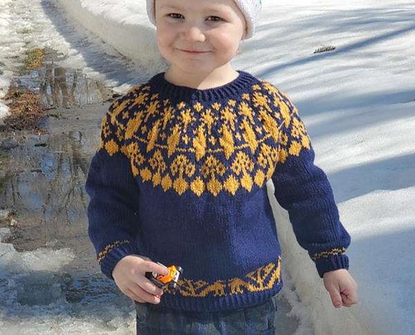 Child's Sweater 40 Bird Night Knitting Pattern