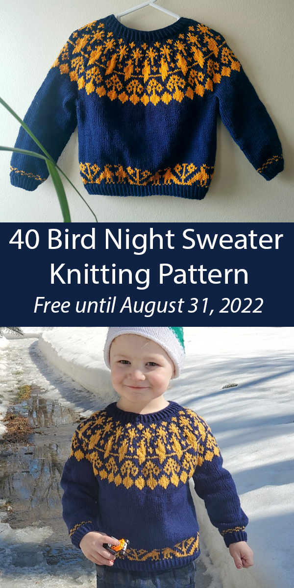 Child's Sweater 40 Bird Night Knitting Pattern Free until August 31st, 2022