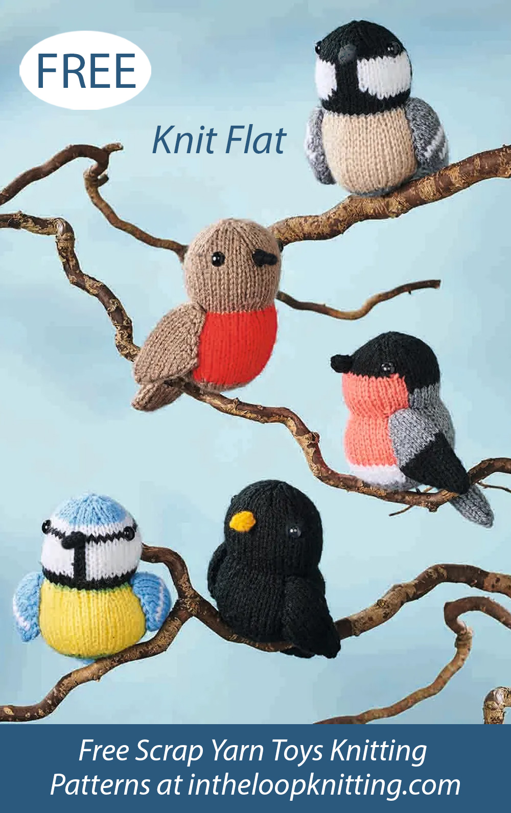 Free 5 Song Birds Knitting Pattern