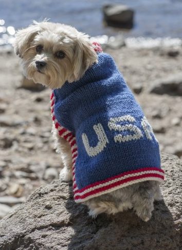 Free knitting pattern for Team USA Dog Sweater