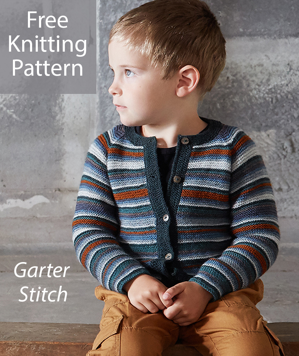 Free Sweater Knitting Pattern Alisterus Cardigan