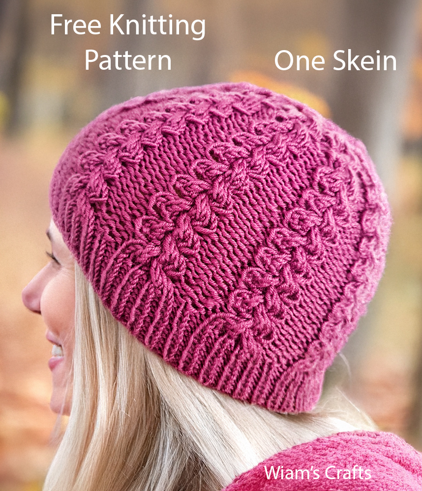 All Braids Hat Free Knitting Pattern 4 Round Repeat