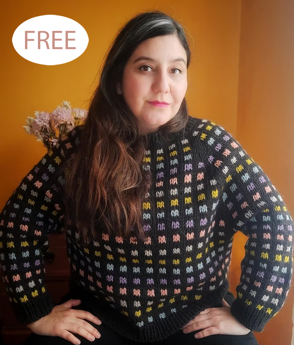 Free Knitting Pattern All Sort of Flavors Sweater