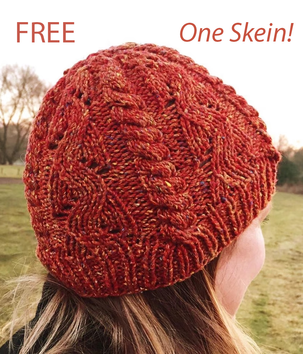 Free Alonni Hat Knitting Pattern 1 Skein