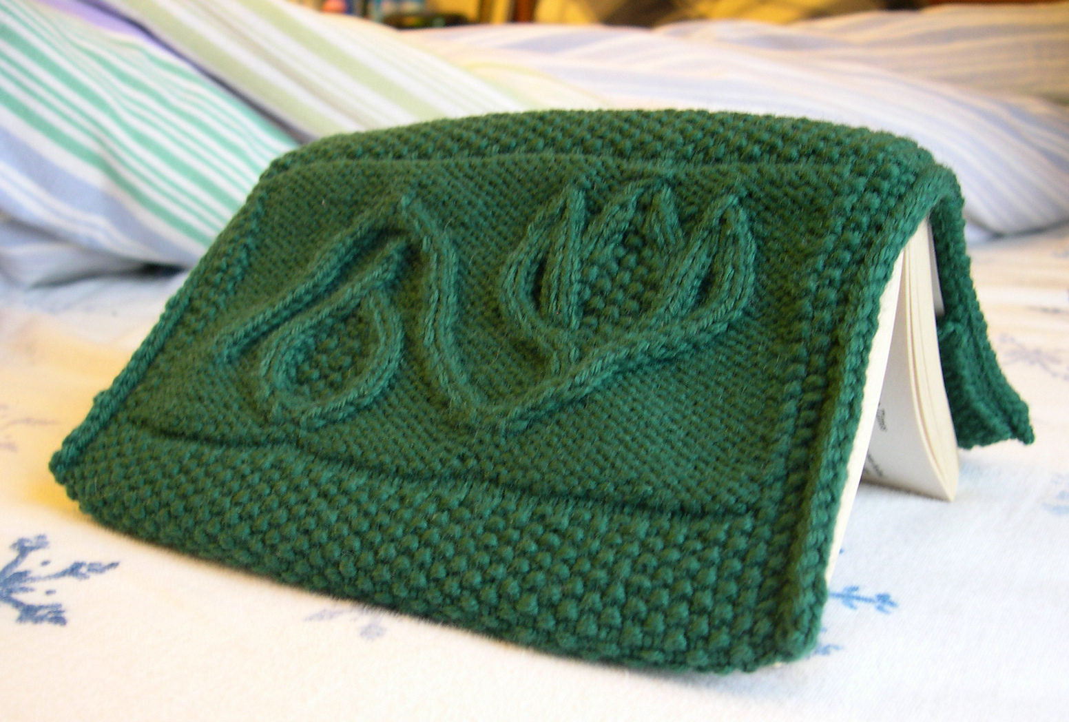 Knitting Pattern for Aemelia Book Cover