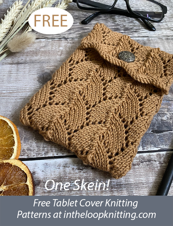Free One Skein Anais Cosy Tablet Cover and Glasses Case Knitting Pattern