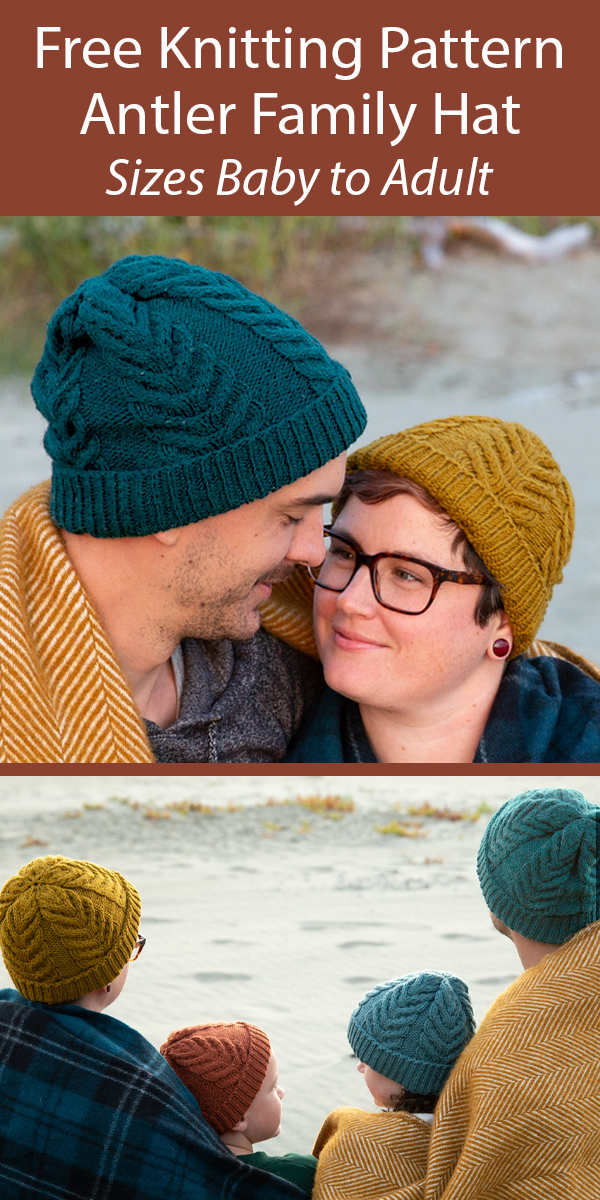 Free Hat Knitting Pattern Antler Toque for the Whole Family