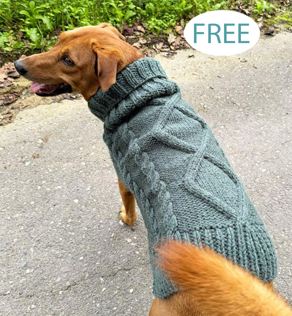 Free Knitting Pattern Aran Dog Sweater