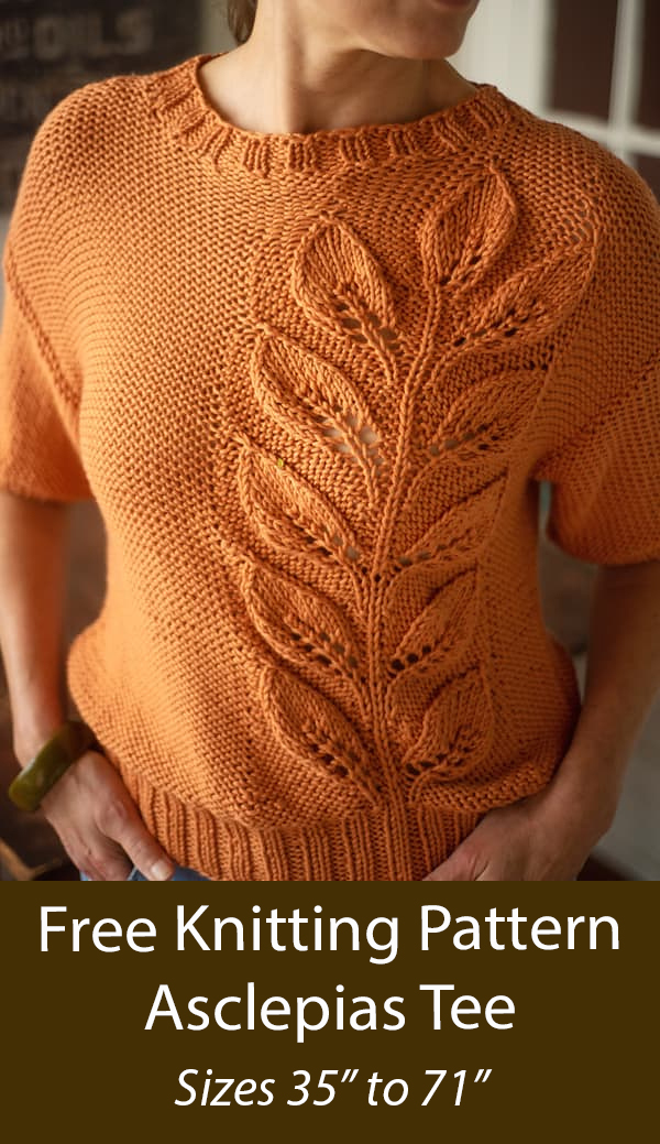 Free Top Knitting Pattern Asclepias Tee