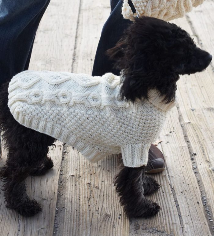 https://intheloopknitting.com/images/patterns/biscuit-bones-dog-coat.jpg