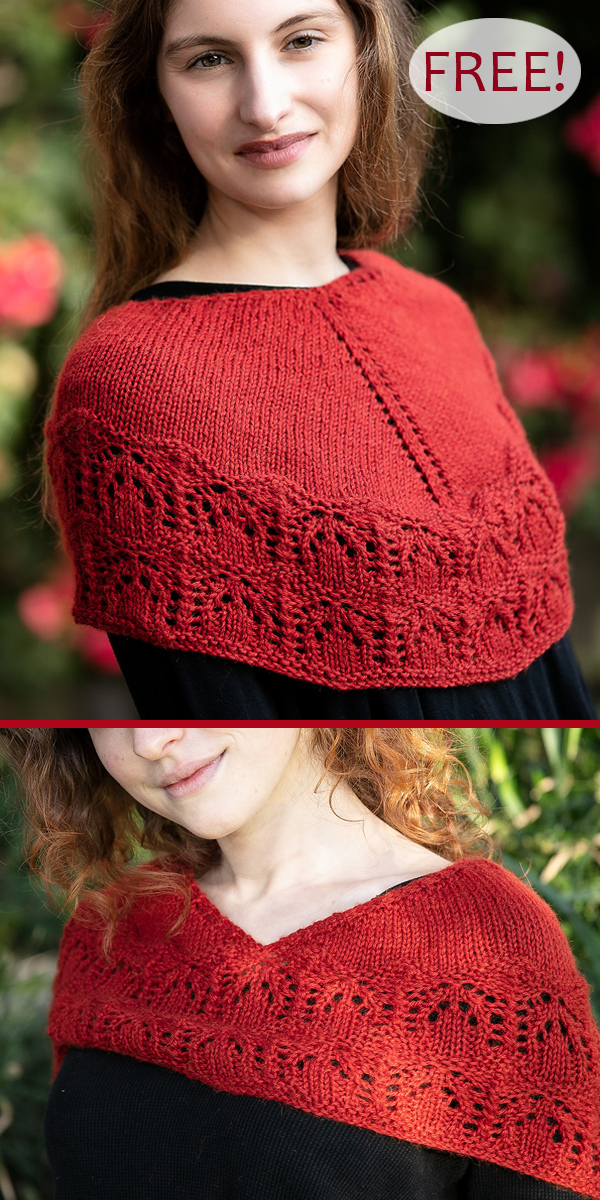 Free Knitting Pattern for One Skein Bloomsbury Cowlette