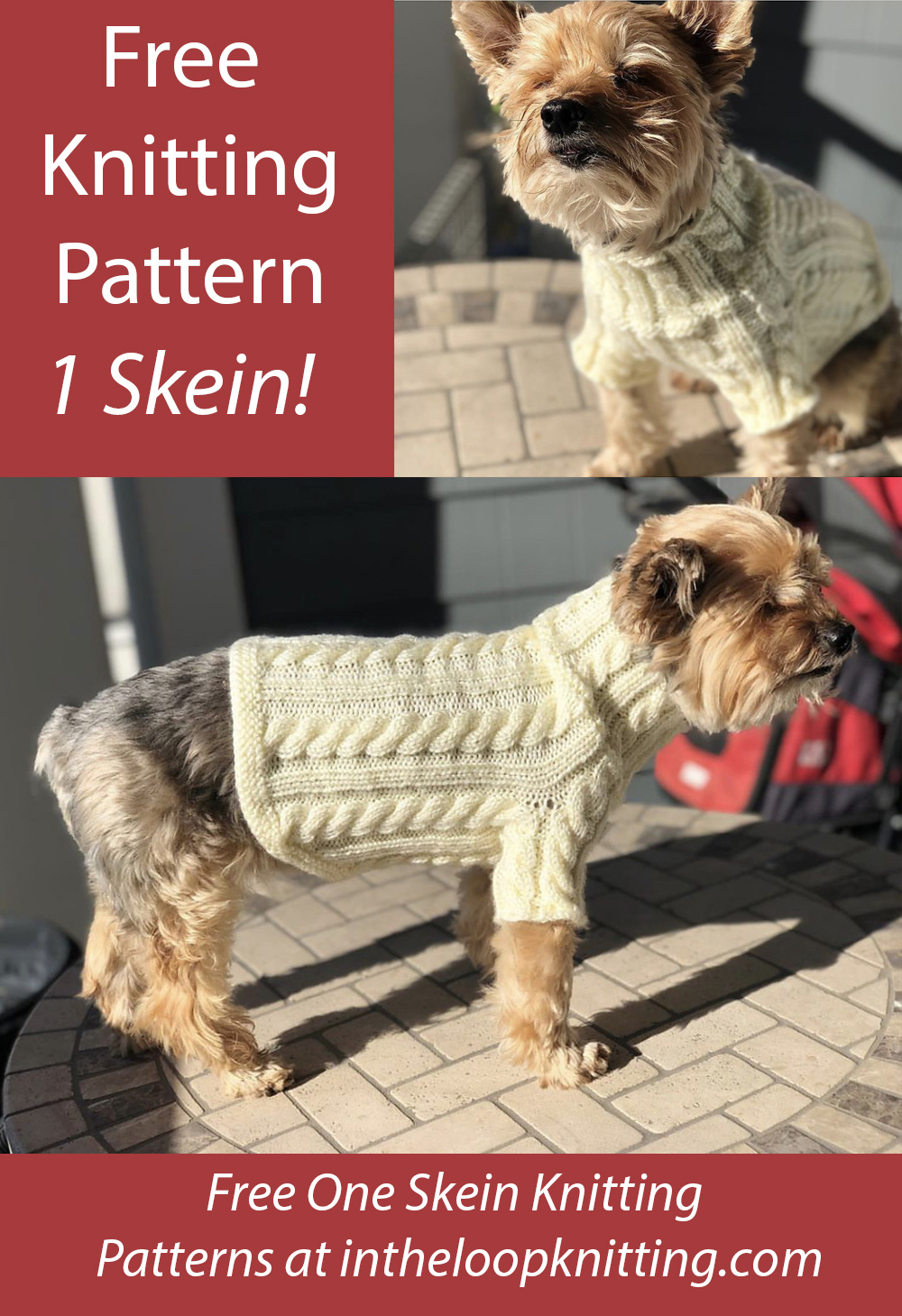 Free One Skein Cable Dog Sweater Knitting Pattern