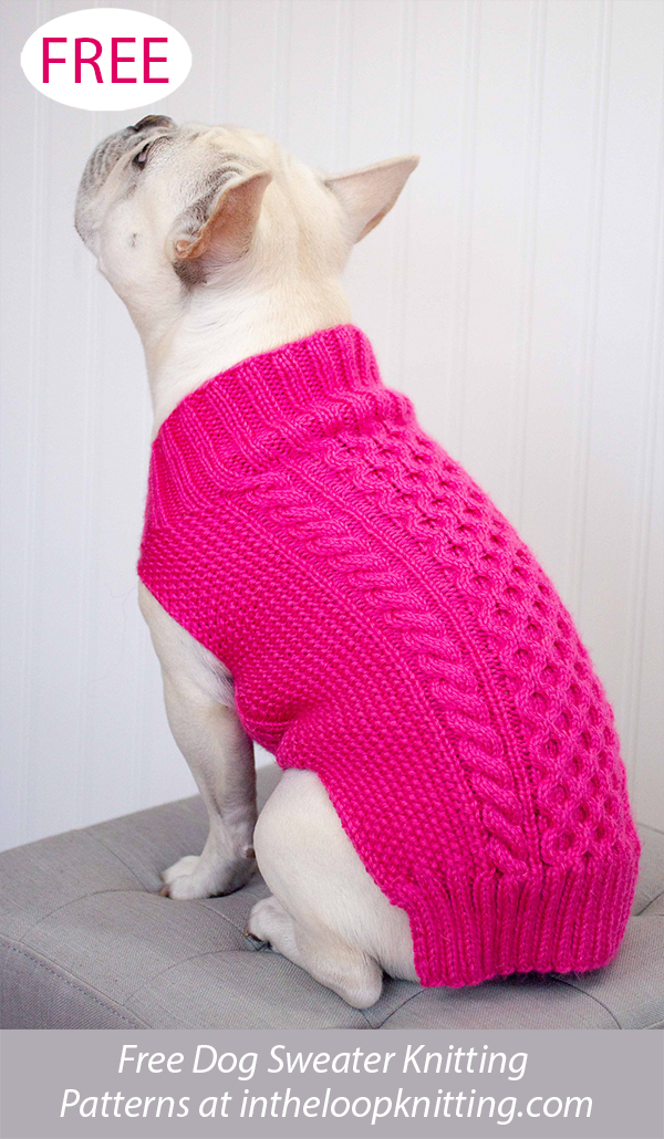 Free Cabled Dog Sweater Sweater Knitting Pattern
