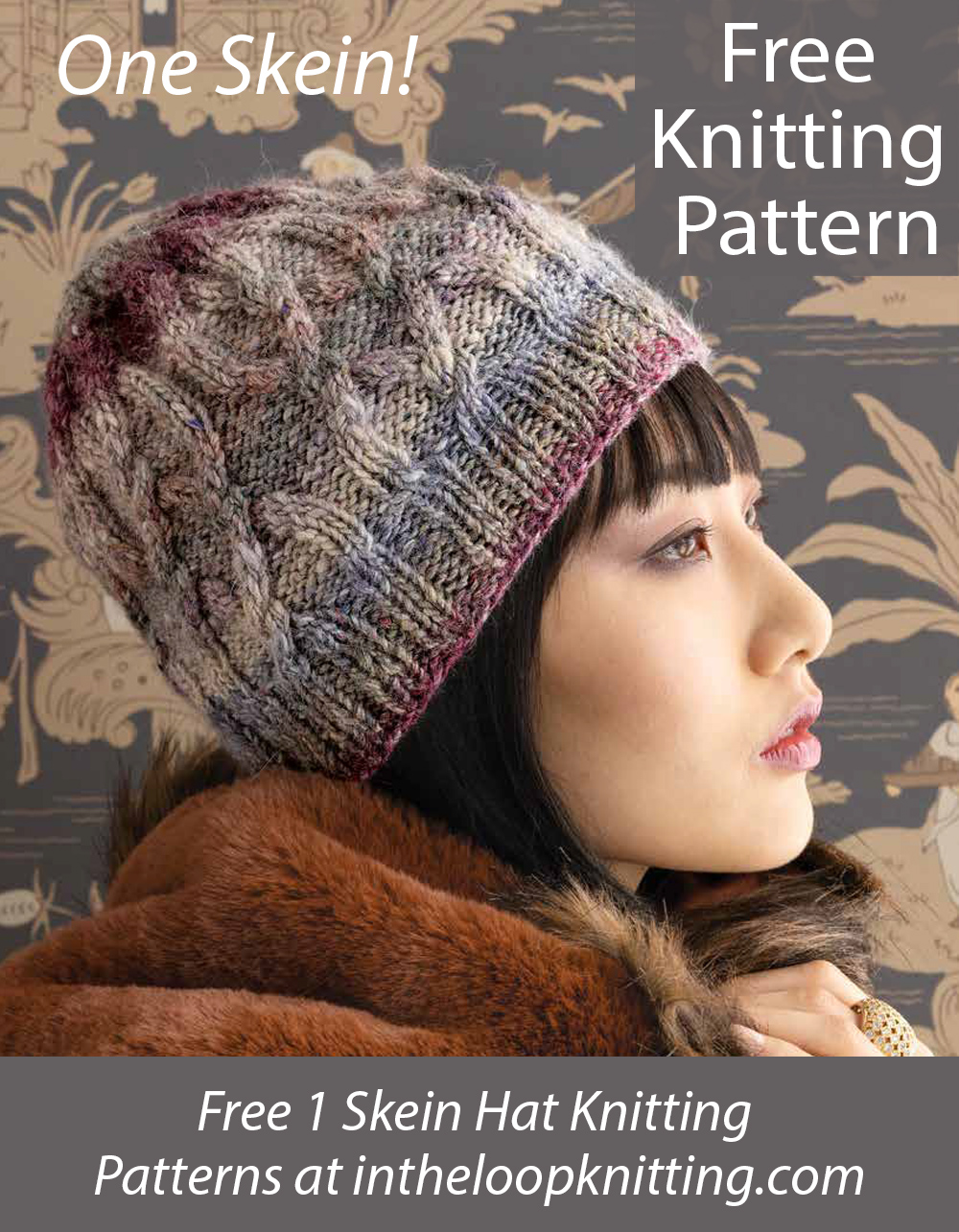 Free Noro Cabled Hat One Skein Knitting Pattern