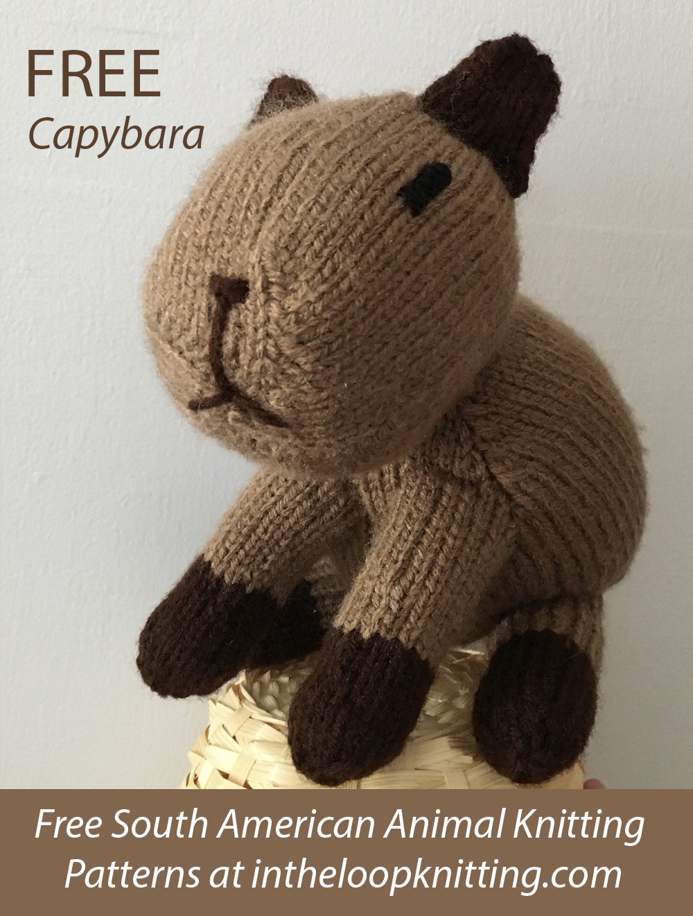 Free Capybara Knitting Pattern