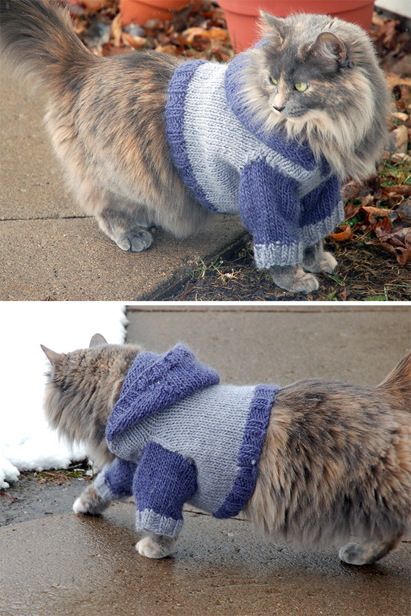 Knitting Pattern for Cat Hoodie