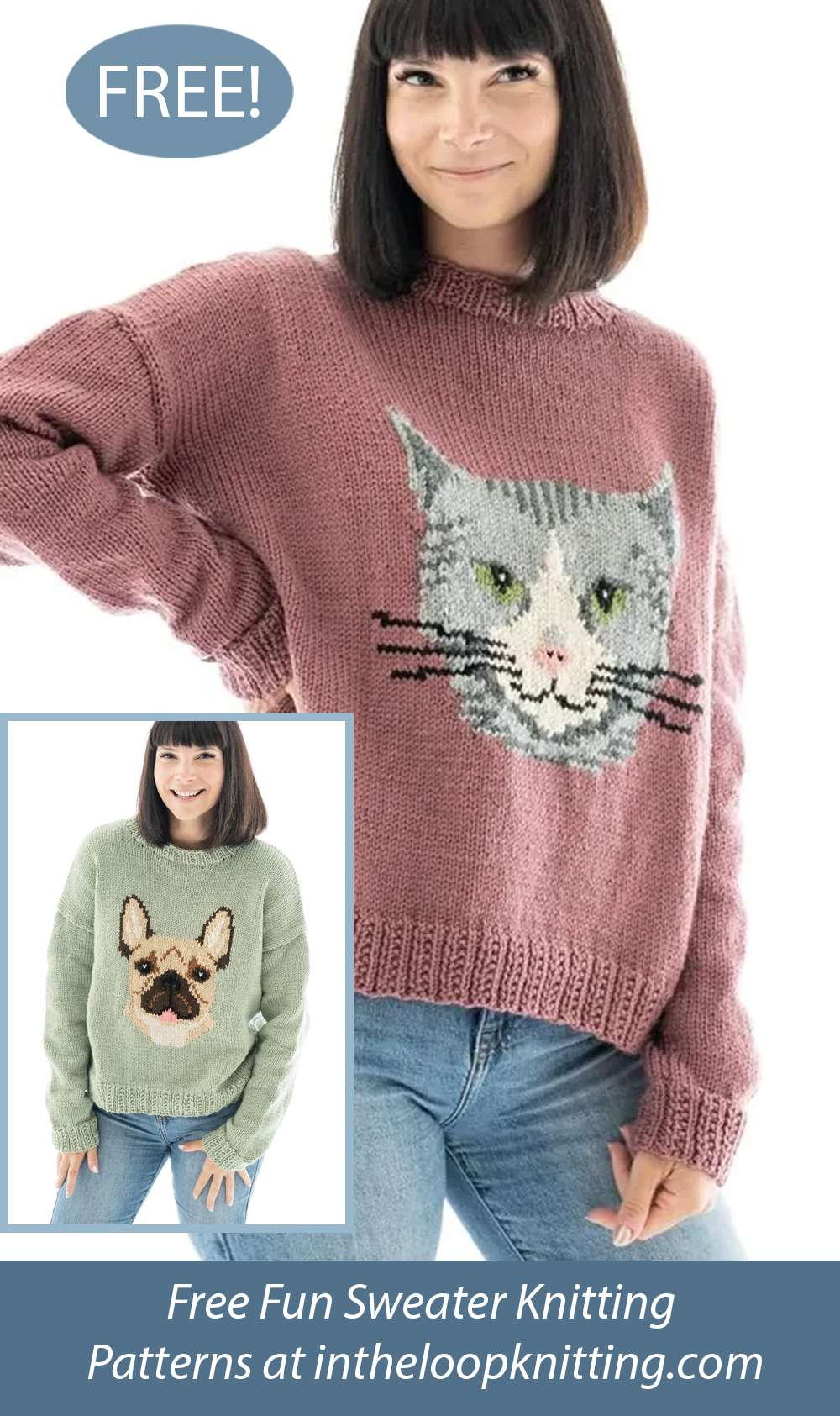Free Cat Sweater and French Bulldog Sweater Knitting Pattern
