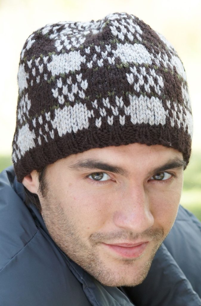 Free Knitting Pattern for Check Mate Hat