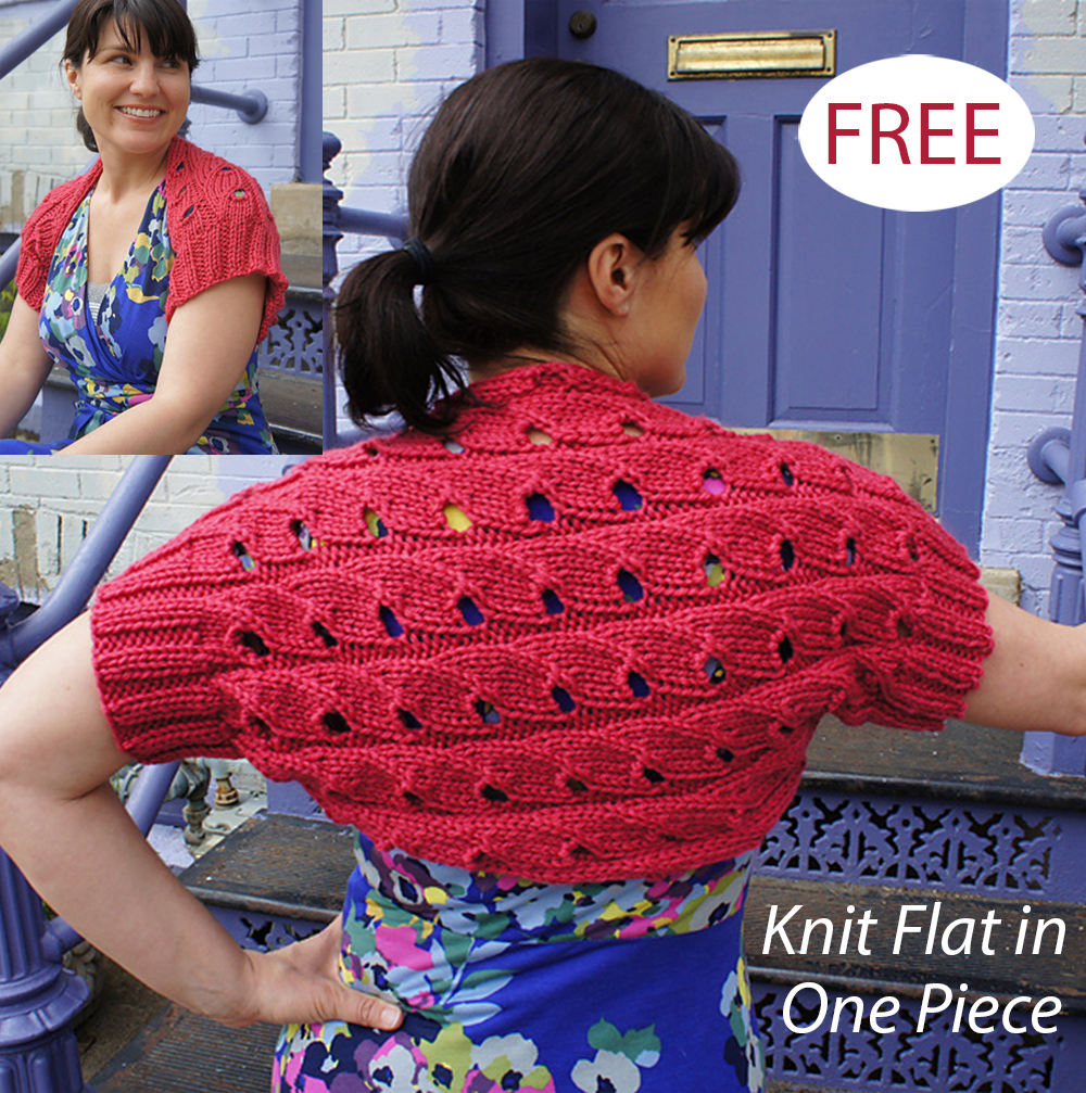 Free Knitting Pattern for Easy Chickadee Shrug