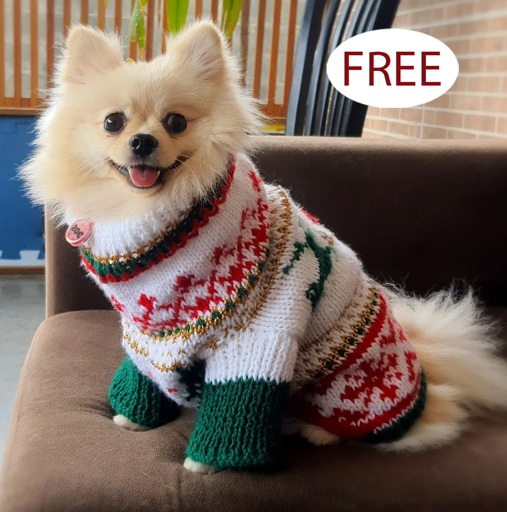 Free Christmas Sweater for Pets Knitting Pattern
