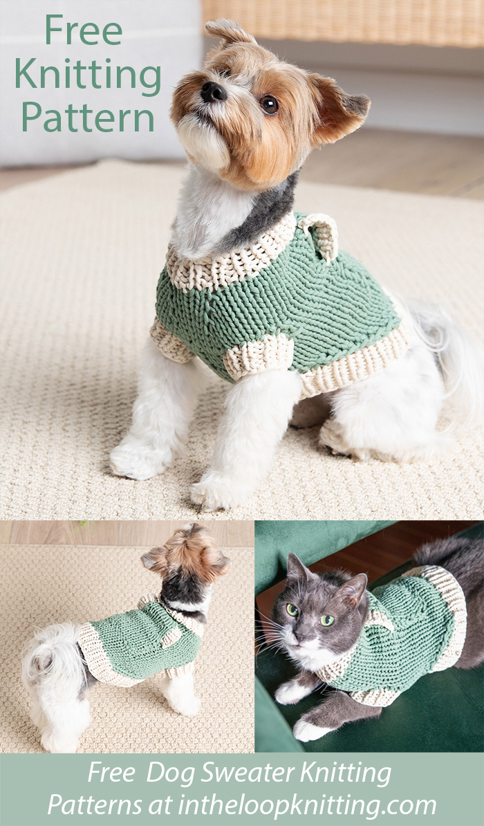 Free Classic Sweater for Dogs Knitting Pattern