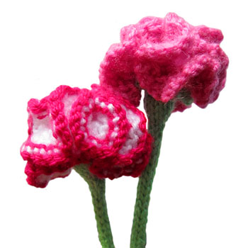 Carnation Flower Free Knitting Pattern | Flower Knitting Patterns, many free patterns at http://intheloopknitting.com/free-flower-knitting-patterns/