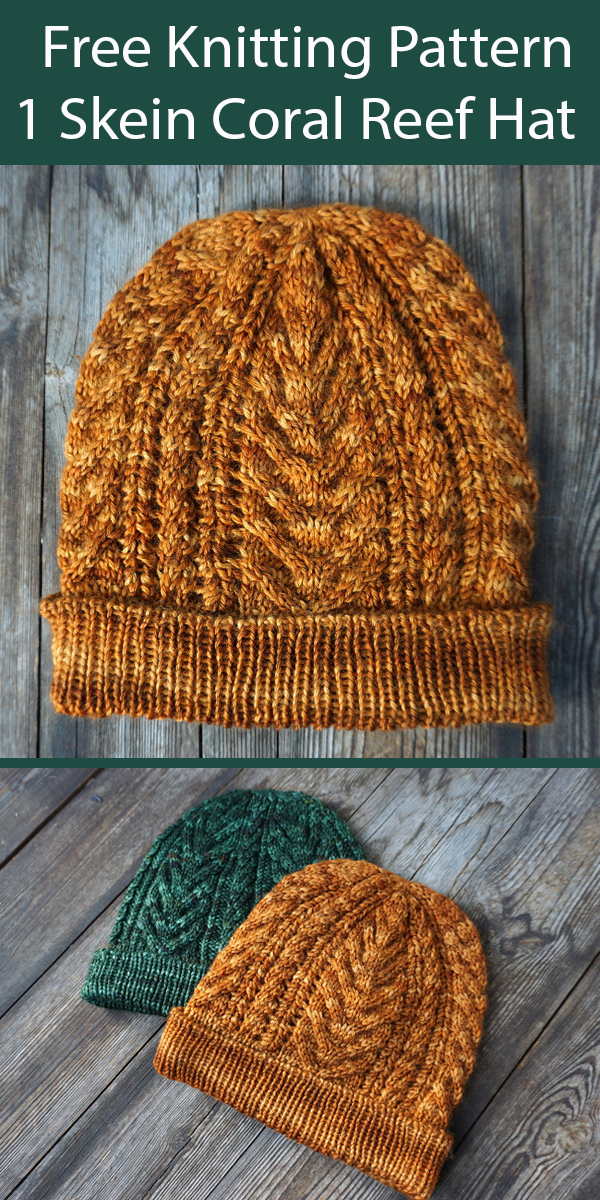 Free Hat Knitting Pattern Coral Reef Hat