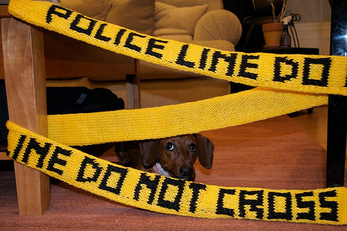 Crime Scene Tape Scarf Free Knitting Pattern