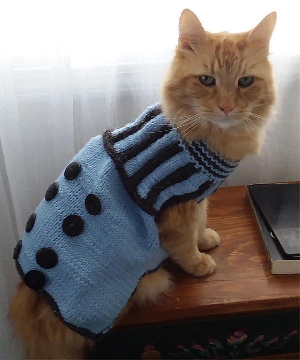 Free Knitting Pattern for Dalek Pet Sweater