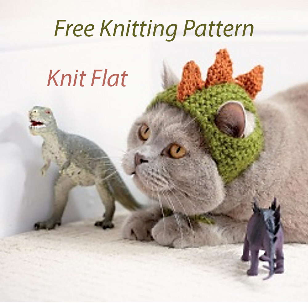 Free Knitting Pattern Dinosaur Pet Hat Cat